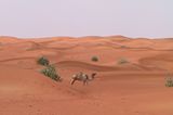 Fotogalerie zum Cover-Wettbewerb: Dubai - Bild 13