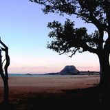 Das User-Bild des Tages - März 2007 - Bild 4