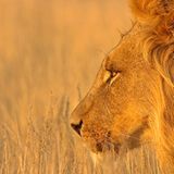 Das User-Bild des Tages - März 2007 - Bild 7