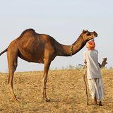 Das User-Bild des Tages - März 2007 - Bild 8