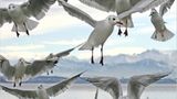 Das User-Bild des Tages - März 2007 - Bild 10