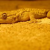 Das User-Bild des Tages - März 2007 - Bild 11