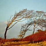 Das User-Bild des Tages - März 2007 - Bild 12