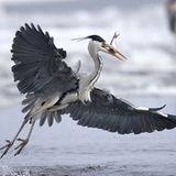 Das User-Bild des Tages - März 2007 - Bild 14