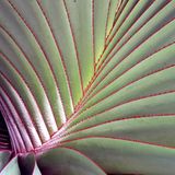 Das User-Bild des Tages - März 2007 - Bild 15