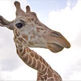 Das User-Bild des Tages - März 2007 - Bild 16