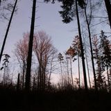 Das User-Bild des Tages - März 2007 - Bild 19