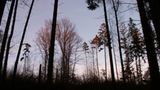 Das User-Bild des Tages - März 2007 - Bild 19