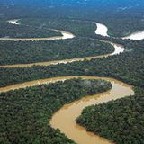 Fotogalerie: Uakaris - Bild 3