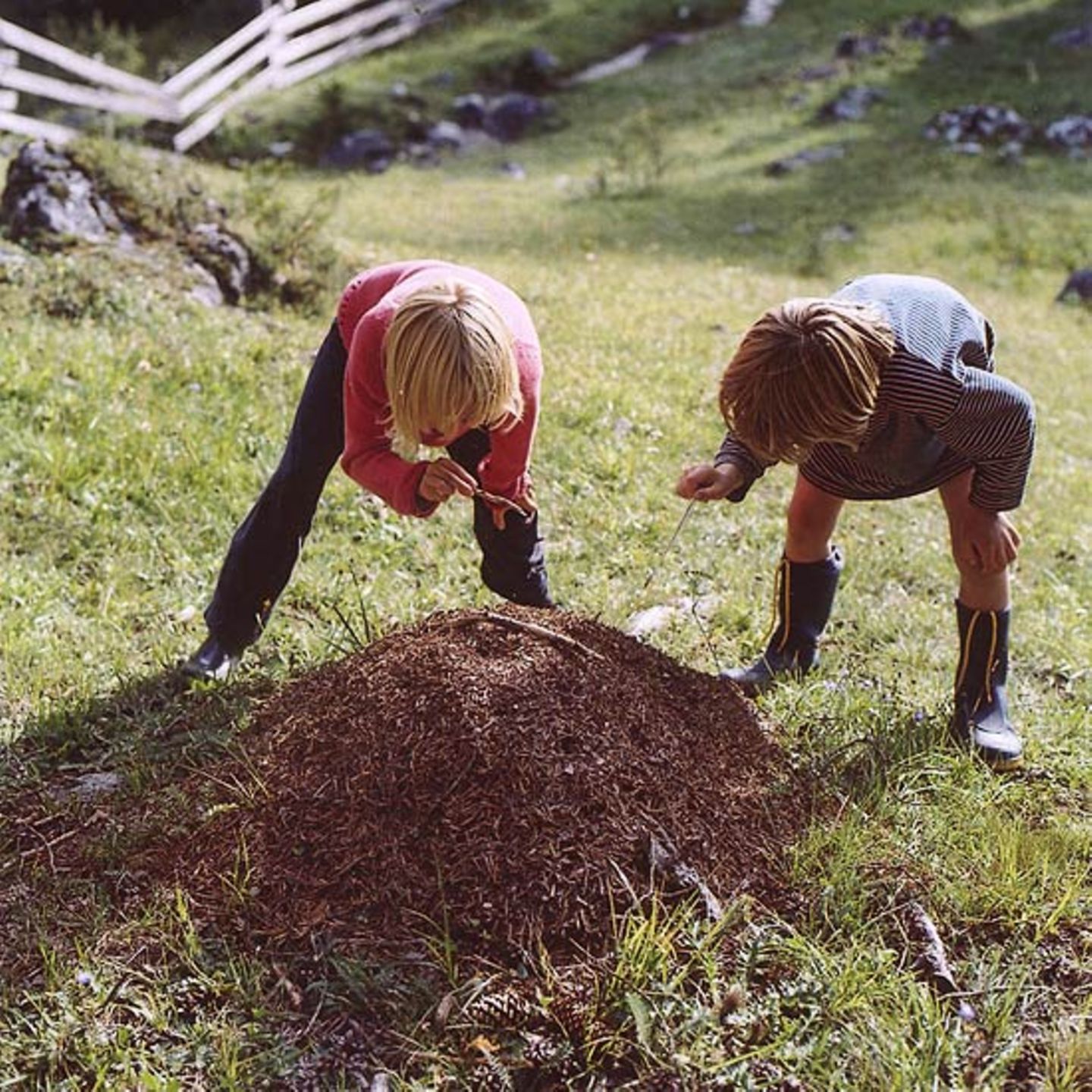 Fotogalerie: Südtirol mit Kindern - Bild 6
