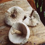 Fotogalerie: Südtirol mit Kindern - Bild 7