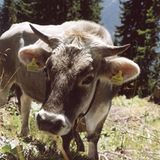 Fotogalerie: Südtirol mit Kindern - Bild 10