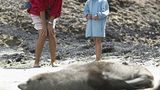 Fotogalerie: Neuseeland mit Kindern - Bild 4