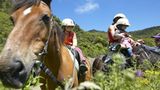 Fotogalerie: Neuseeland mit Kindern - Bild 9