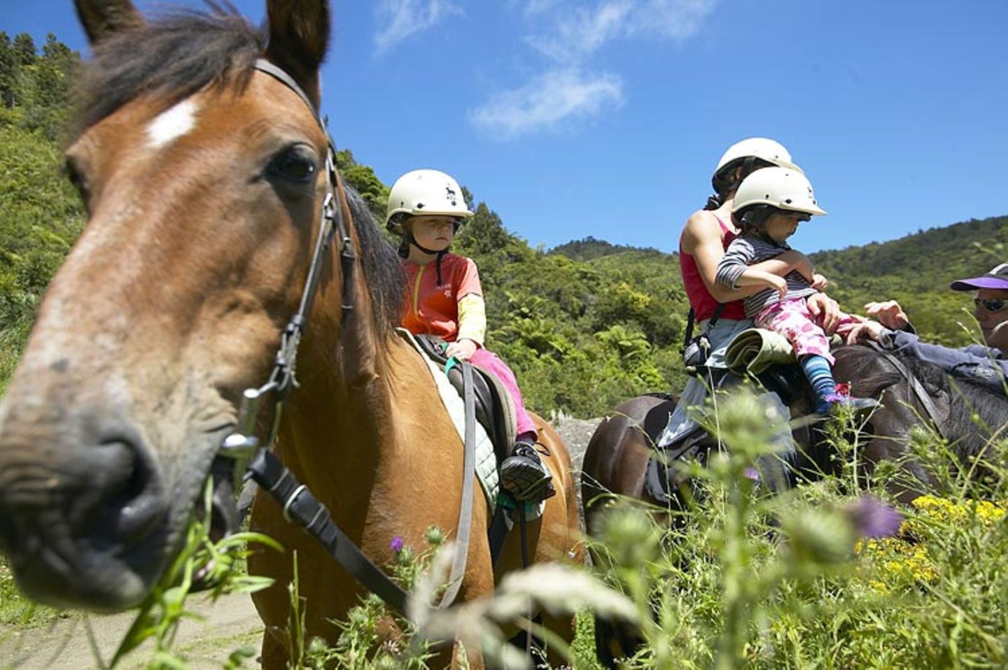 Fotogalerie: Neuseeland mit Kindern - Bild 9
