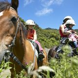 Fotogalerie: Neuseeland mit Kindern - Bild 9