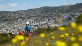 Fotogalerie: Neuseeland mit Kindern - Bild 13
