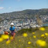 Fotogalerie: Neuseeland mit Kindern - Bild 13