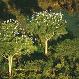 Fotogalerie: Afrika aus der Luft - Bild 4