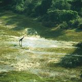 Fotogalerie: Afrika aus der Luft - Bild 5