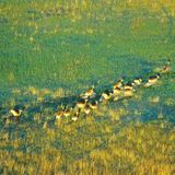 Fotogalerie: Afrika aus der Luft - Bild 6