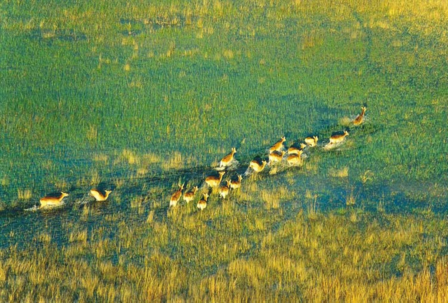 Fotogalerie: Afrika aus der Luft - Bild 6