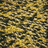 Fotogalerie: Afrika aus der Luft - Bild 7