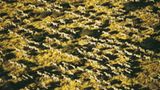 Fotogalerie: Afrika aus der Luft - Bild 7
