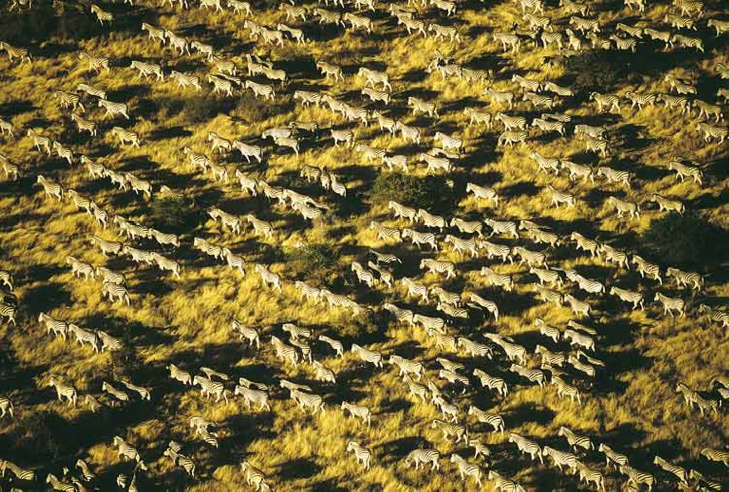 Fotogalerie: Afrika aus der Luft - Bild 7