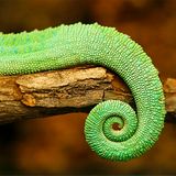 Das User-Bild des Tages - April 2007