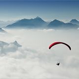 Das User-Bild des Tages - April 2007 - Bild 2