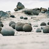 Das User-Bild des Tages - April 2007 - Bild 3