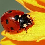 Das User-Bild des Tages - April 2007 - Bild 5