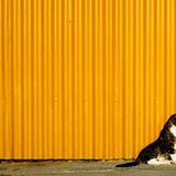 Das User-Bild des Tages - April 2007 - Bild 7