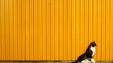 Das User-Bild des Tages - April 2007 - Bild 7