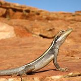 Das User-Bild des Tages - April 2007 - Bild 9