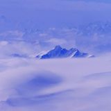 Das User-Bild des Tages - April 2007 - Bild 12