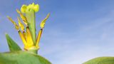 Das User-Bild des Tages - April 2007 - Bild 13