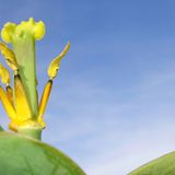 Das User-Bild des Tages - April 2007 - Bild 13