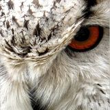 Das User-Bild des Tages - April 2007 - Bild 14