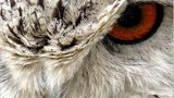 Das User-Bild des Tages - April 2007 - Bild 14