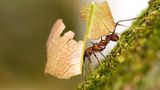 Das User-Bild des Tages - April 2007 - Bild 15