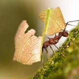 Das User-Bild des Tages - April 2007 - Bild 15