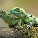 Das User-Bild des Tages - April 2007 - Bild 16