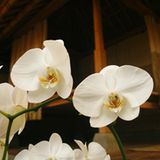 Das User-Bild des Tages - April 2007 - Bild 20