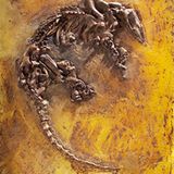 Grube Messel: Fenster in die Vergangenheit - Bild 6