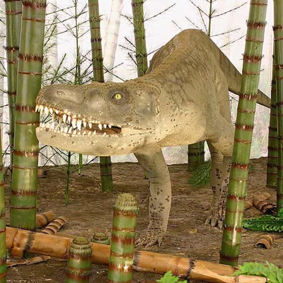 Dinosaurier - Erfolgsmodelle der Evolution