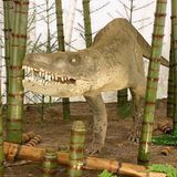 Dinosaurier - Erfolgsmodelle der Evolution