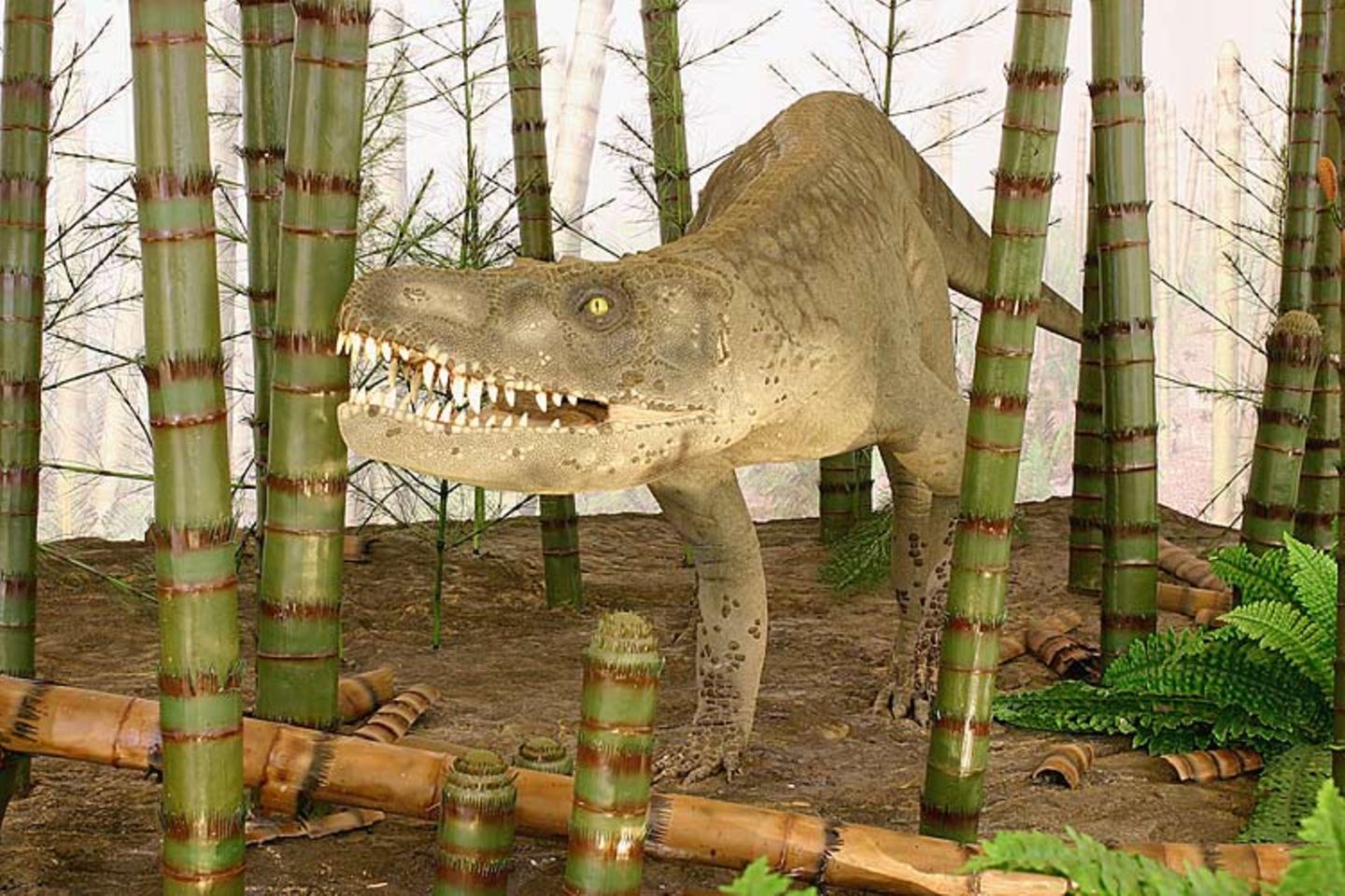 Dinosaurier - Erfolgsmodelle der Evolution