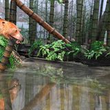 Dinosaurier - Erfolgsmodelle der Evolution - Bild 2